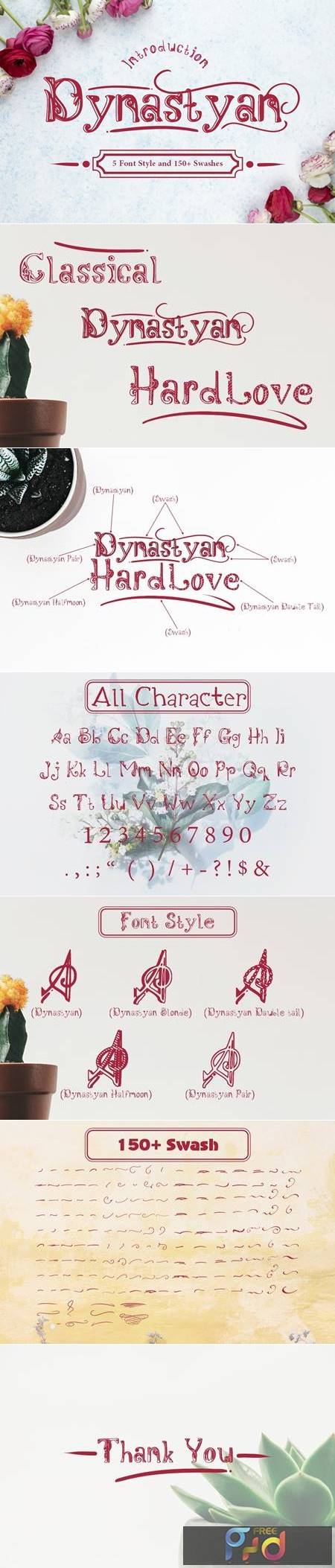 Dynastyan - 5 Font styles 5116330 1